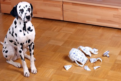 割れたティーポット