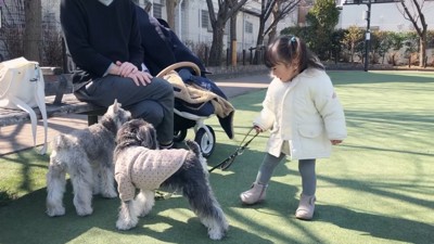 娘さんとジジちゃんトトちゃんのお散歩5