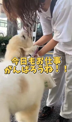 お姉さんを迎えに来たボンドくん⑩
