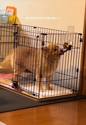 唯一無二の可愛さ♡