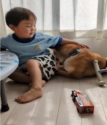 犬をなでる男の子1