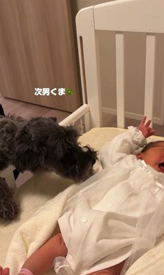 くま君も興味津々！