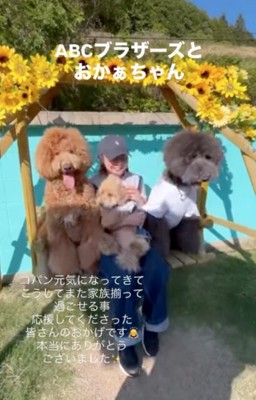 ブランコに座る女性と犬たち