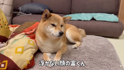 富くんは浮かない顔…