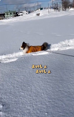 楽しそうなさつまくん