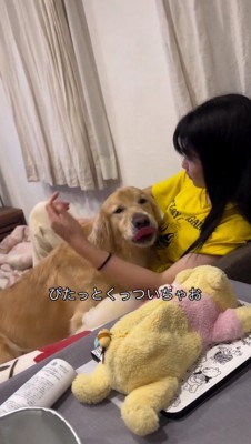 女の子の体にのしかかる犬