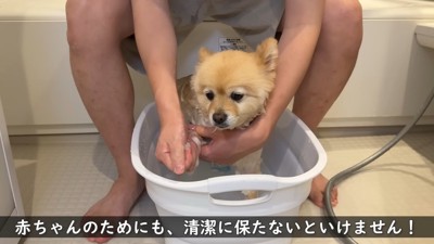 頑張っていて偉い！