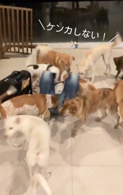 小競り合いが発生