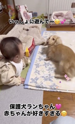 もう一度ヘソ天