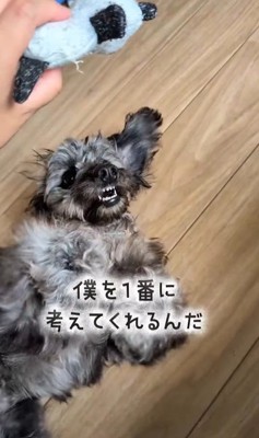 幸せを掴んだオレオくん6