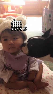 顔を逸らす赤ちゃんの頬を舐める犬