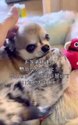 玲音くんと風音ちゃん6