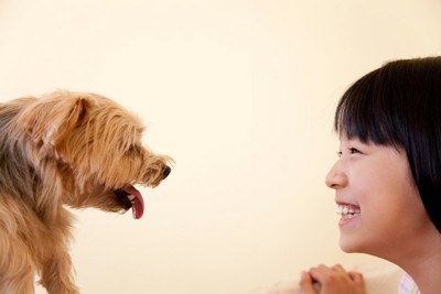 笑顔で見つめ合う犬と女の子