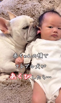 お耳をペロペロ♪