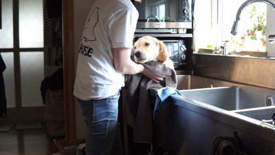 るこる君の初シャンプー⑩