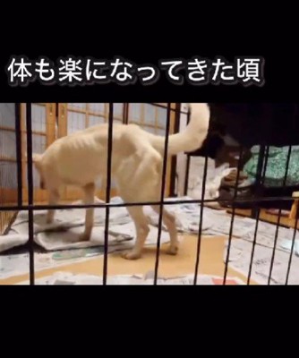 徐々に体力を取り戻した