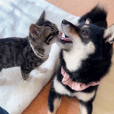 子守り