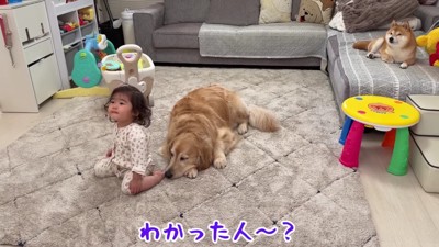 くつろぎタイムに戻った