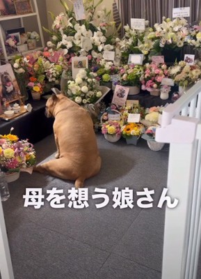思い出に浸る一幕も