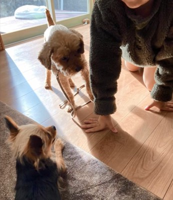 遊び方が分からないイオくん