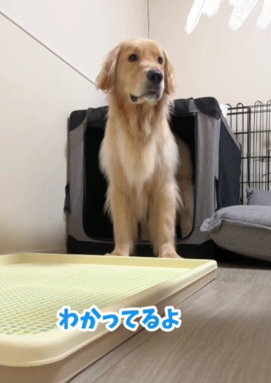 アドバイスを真剣に聞く