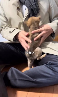 パパから離れない