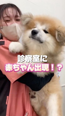 女性に抱っこされる子犬