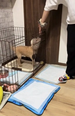 喜ぶモカちゃん