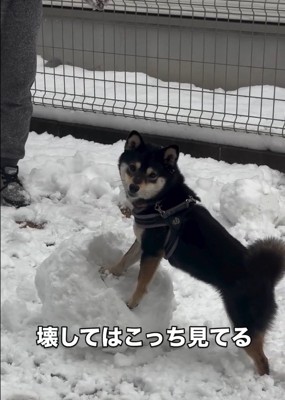 またカメラ目線の千幸ちゃん