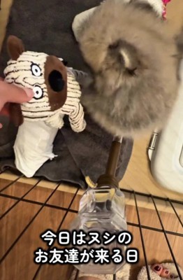 初めての差し入れ