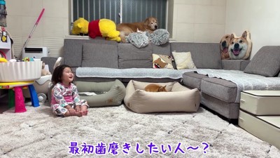 歯みがきしたくない!