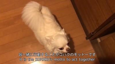 許してくれたようです♡