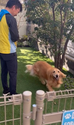 そら君とブリーダーさんの再会7