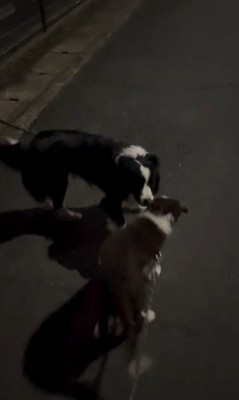 ルナちゃん&りっかちゃん