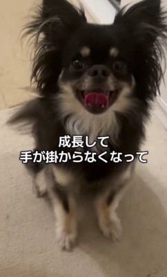 大きくなった今は…