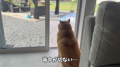 じっと待つ姿にキュン♡