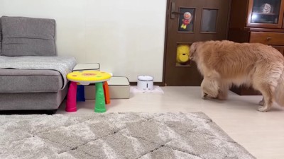 ぬいぐるみが戻ってきた！