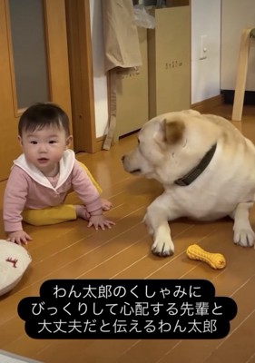 わん太郎くんに気持ちが伝わったみたい