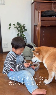 いとちゃんの成長記録7