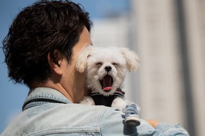 男性と犬