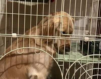 思ってたのと違う…