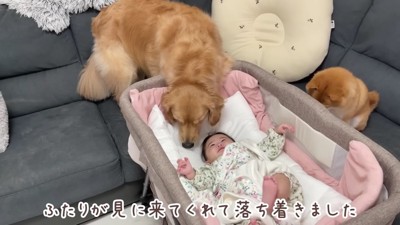 ほのかちゃんが笑った！