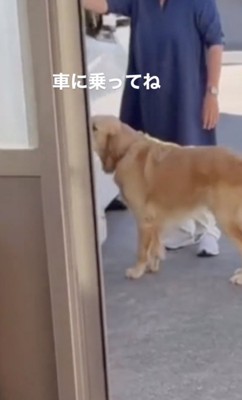 車の前でピタッ