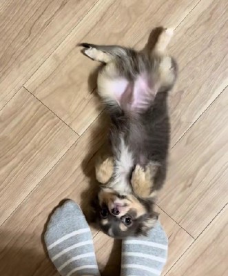 とっても甘えん坊さん!