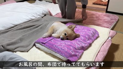 「お風呂行ってくるね」