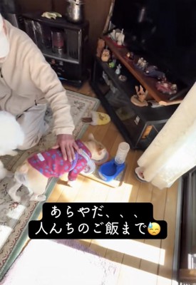 ちゃっかり食べちゃう