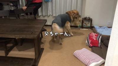 「お兄ちゃんじゃない…」