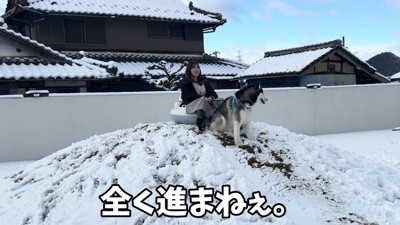 犬ゾリの本能が発動…！？