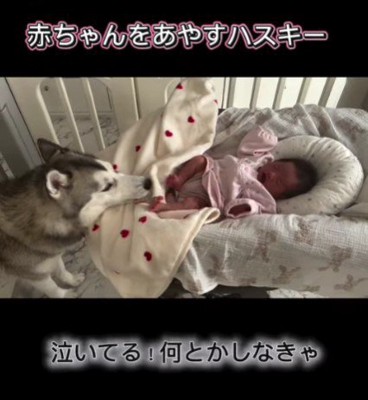 赤ちゃんが泣いてる…