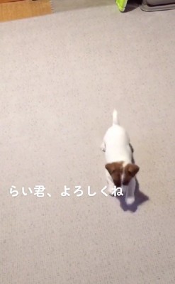 これからよろしくね